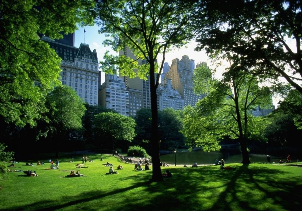 West 68th Street - Photo 9