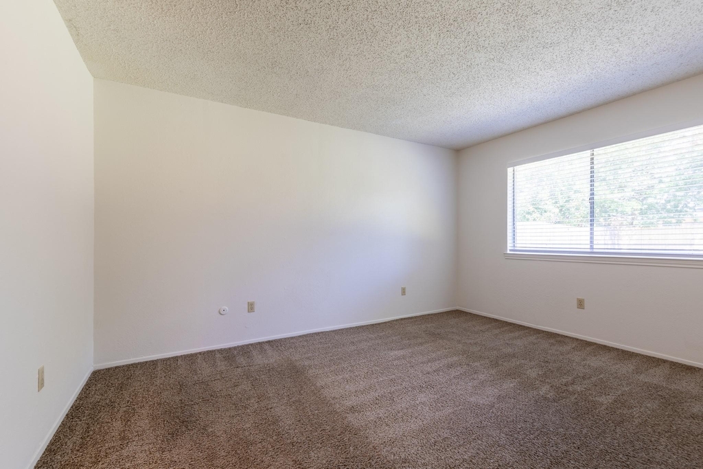 209 Pebblebrook Street - Photo 19