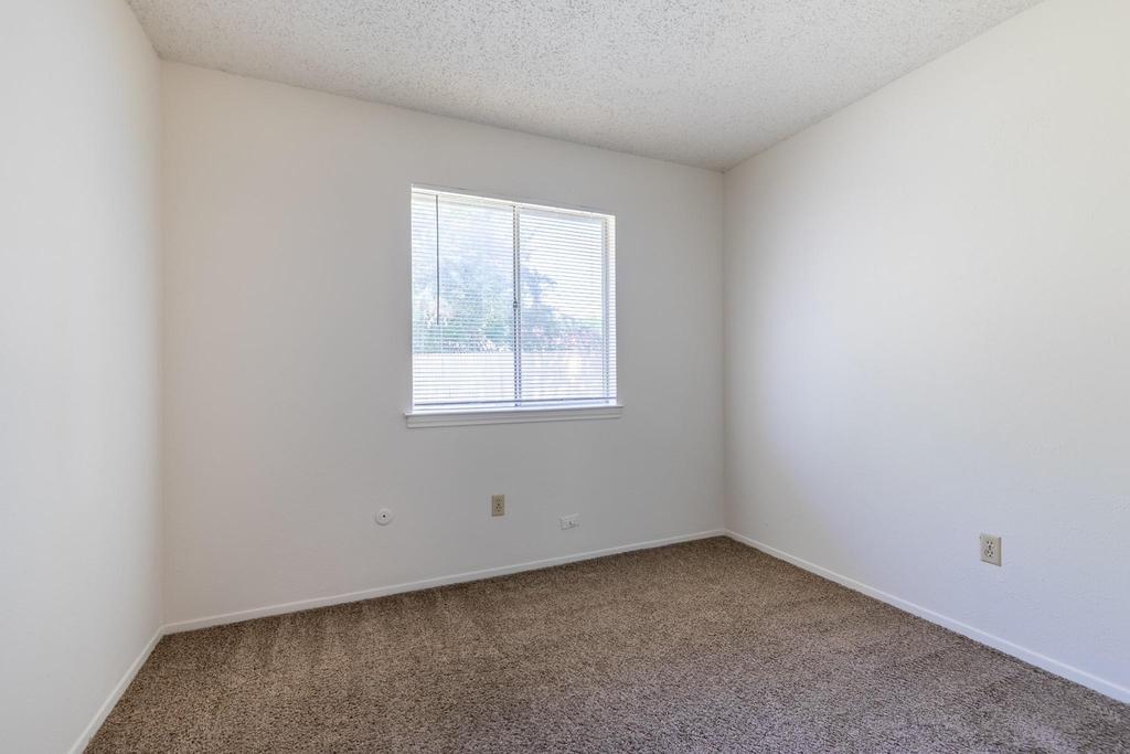 209 Pebblebrook Street - Photo 20