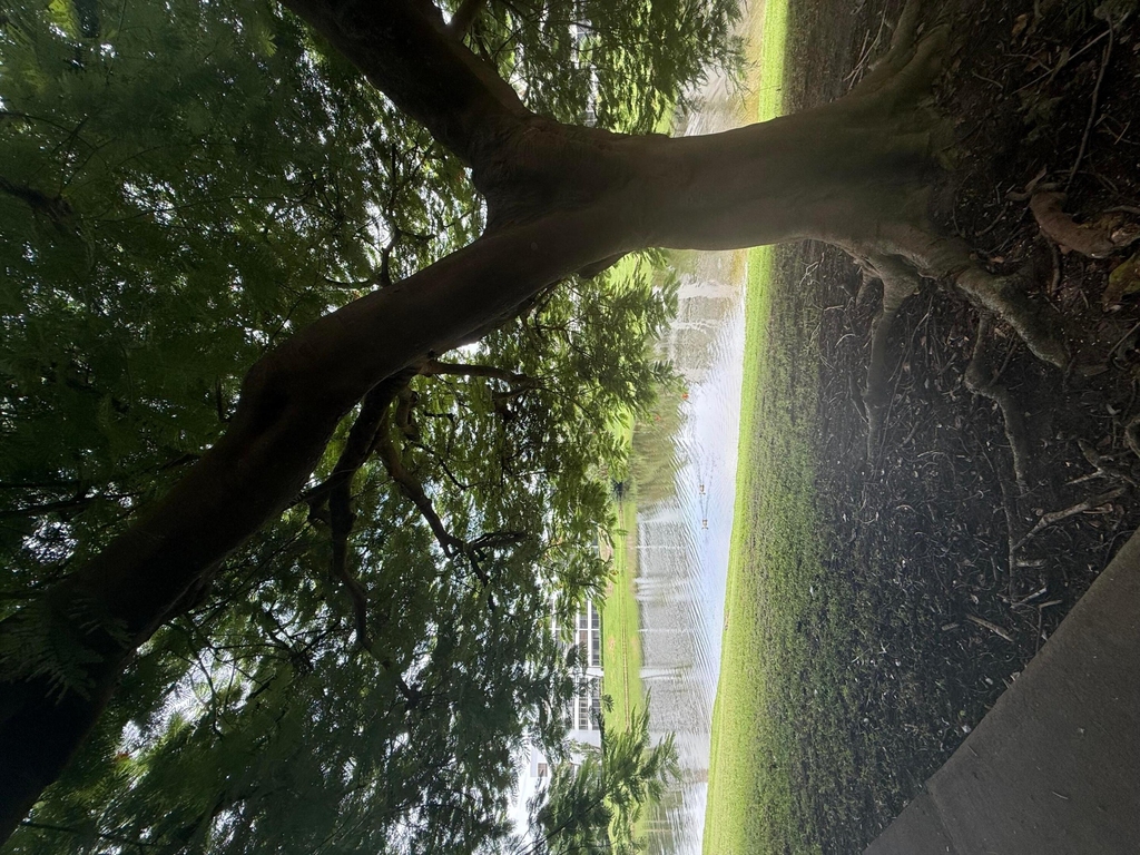 1865 Palm Cove Boulevard - Photo 24