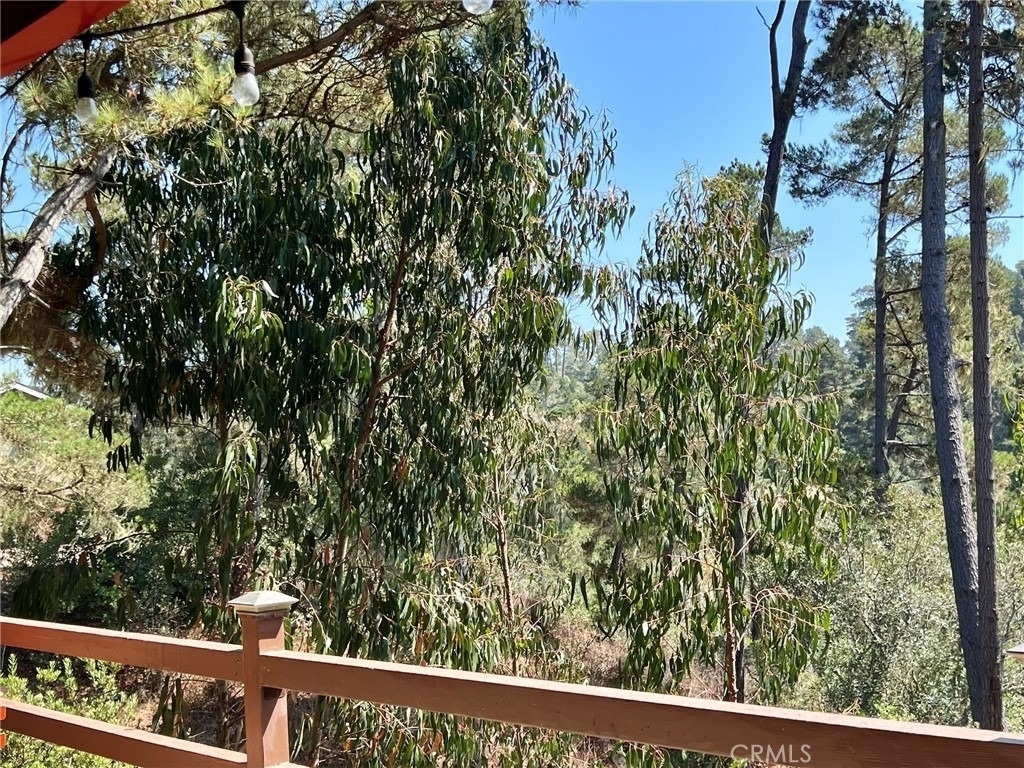 3151 Ramsey Drive - Photo 23