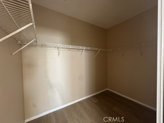 13611 Fern Pine Street - Photo 15
