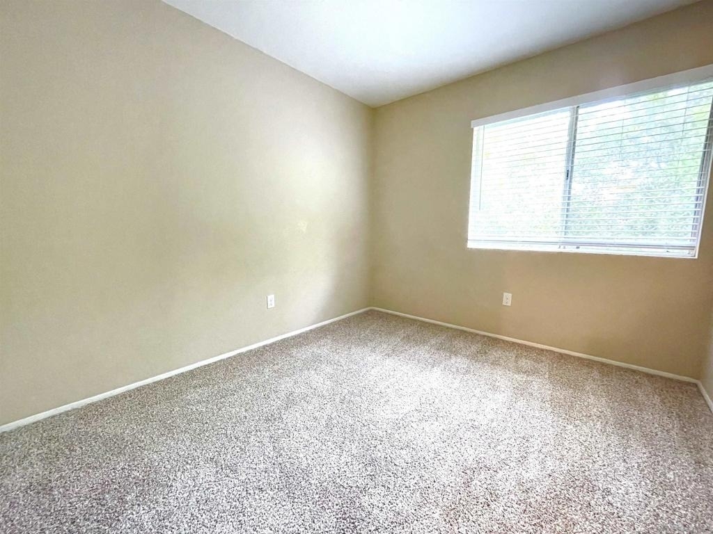 11329 Avenida Los Lobos - Photo 14