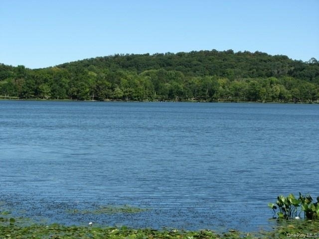 30 N Route 9w - Photo 14