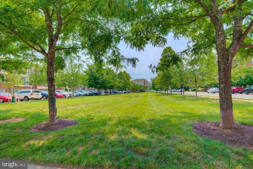 42262 Knotty Oak Terrace - Photo 57
