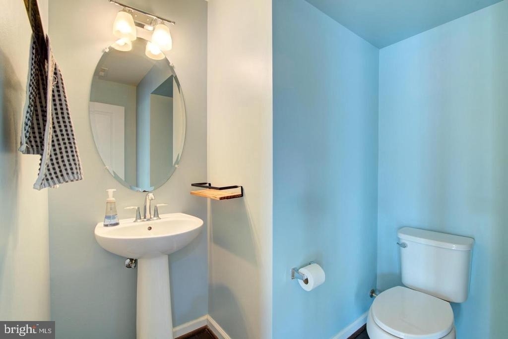 42262 Knotty Oak Terrace - Photo 58
