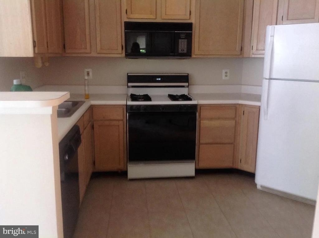 14321 Climbing Rose Way - Photo 4