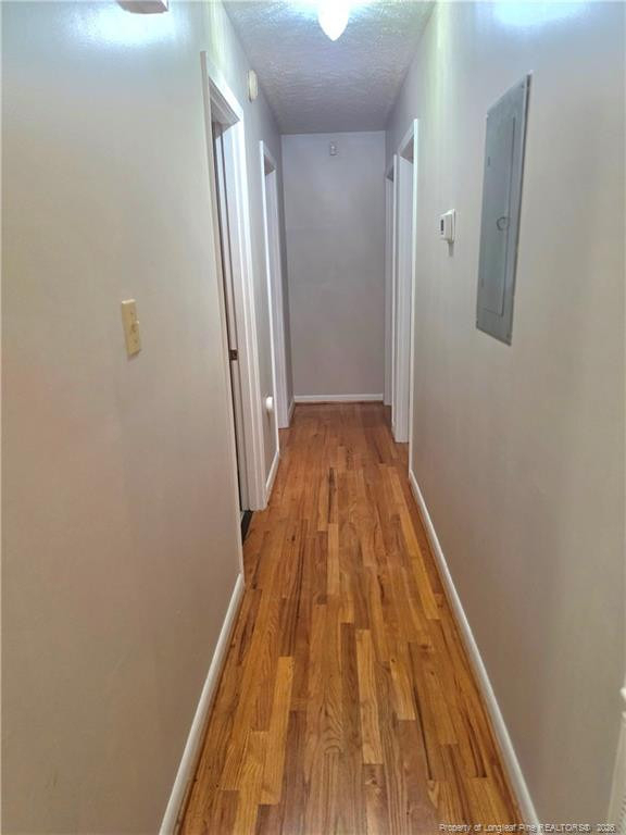 111 Chloe Drive - Photo 12