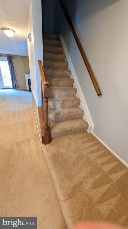 6400 Pound Apple Court - Photo 17