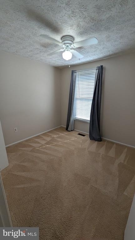 6400 Pound Apple Court - Photo 23