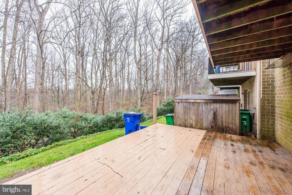 11912 Blue February Way - Photo 37