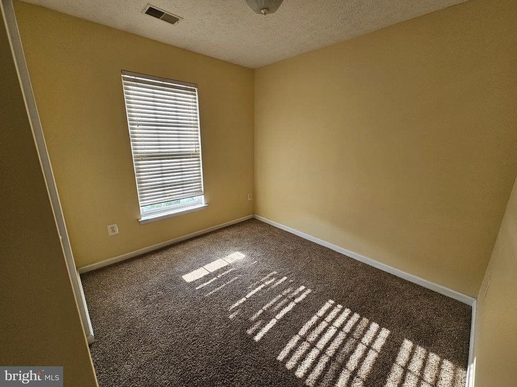4927 Bristle Cone Circle - Photo 13