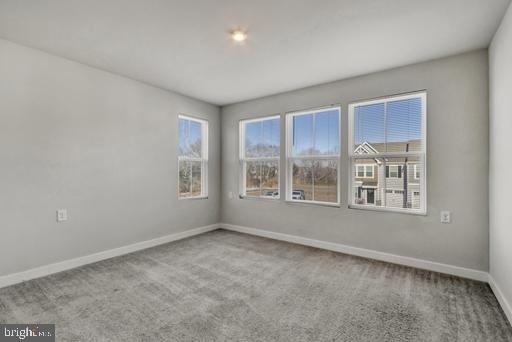 28010 Dew Drop Lane - Photo 24