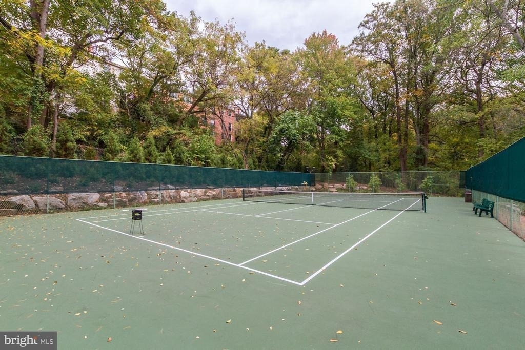 4201 Cathedral Avenue Nw - Photo 13