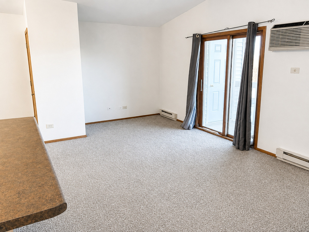 1343 Cunat Court - Photo 5