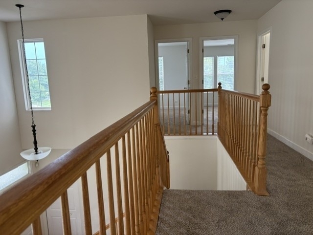 2440 Reflections Drive - Photo 13