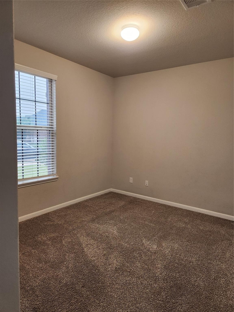 8519 Golden Field Drive - Photo 14