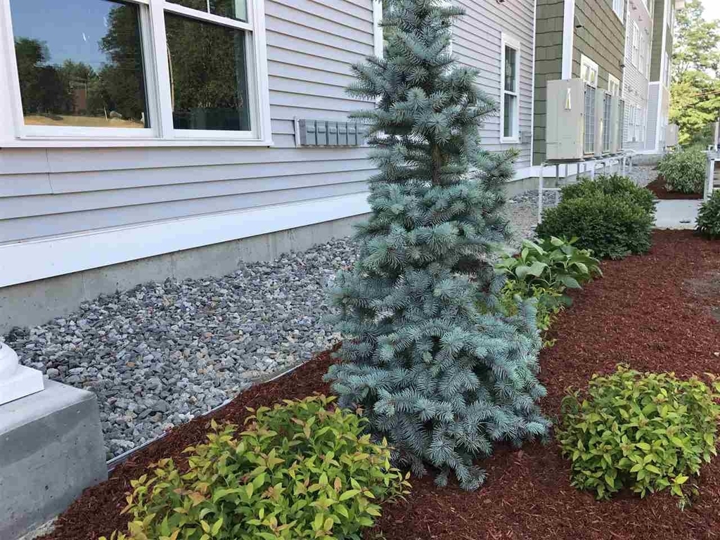 10 East Ridge - Photo 6