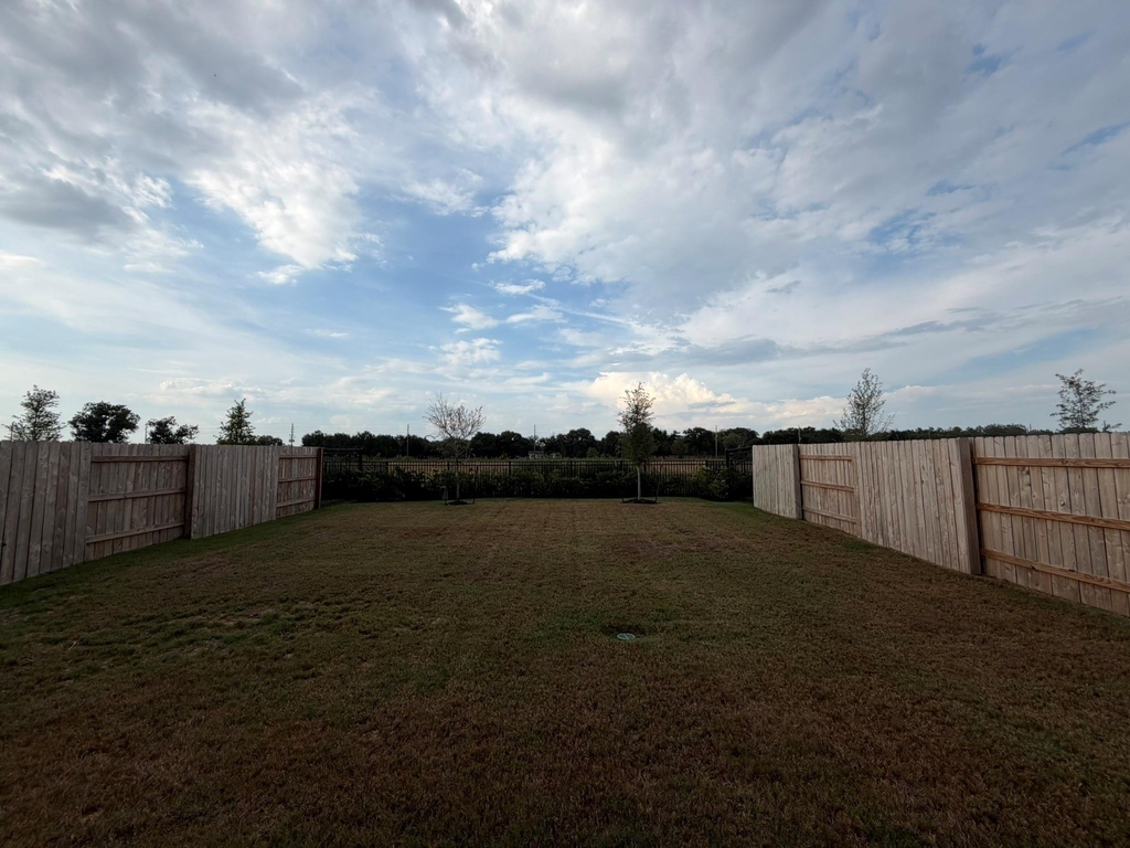24126 Prairie Crabapple Court - Photo 16