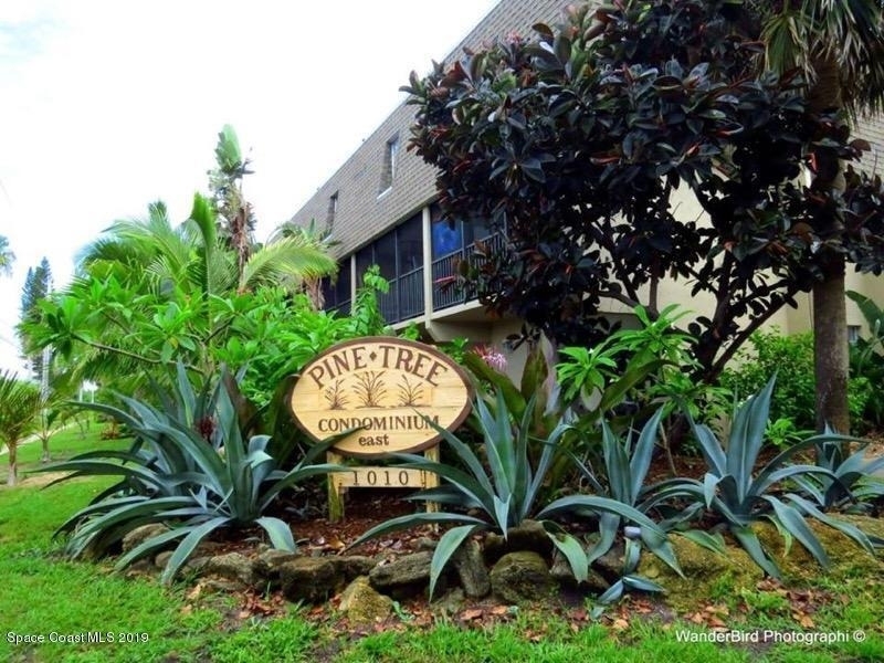 1010 Pine Tree Drive - Photo 1