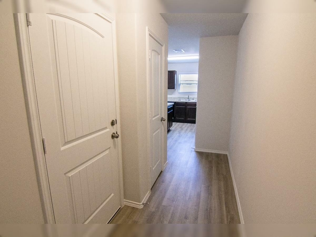 3922 Richey Silver Street - Photo 1