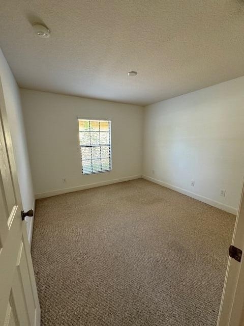 4570 Radiant Way - Photo 6