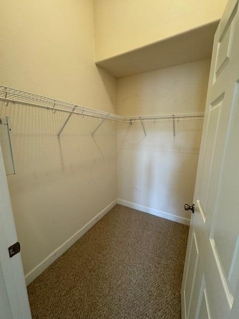4570 Radiant Way - Photo 10