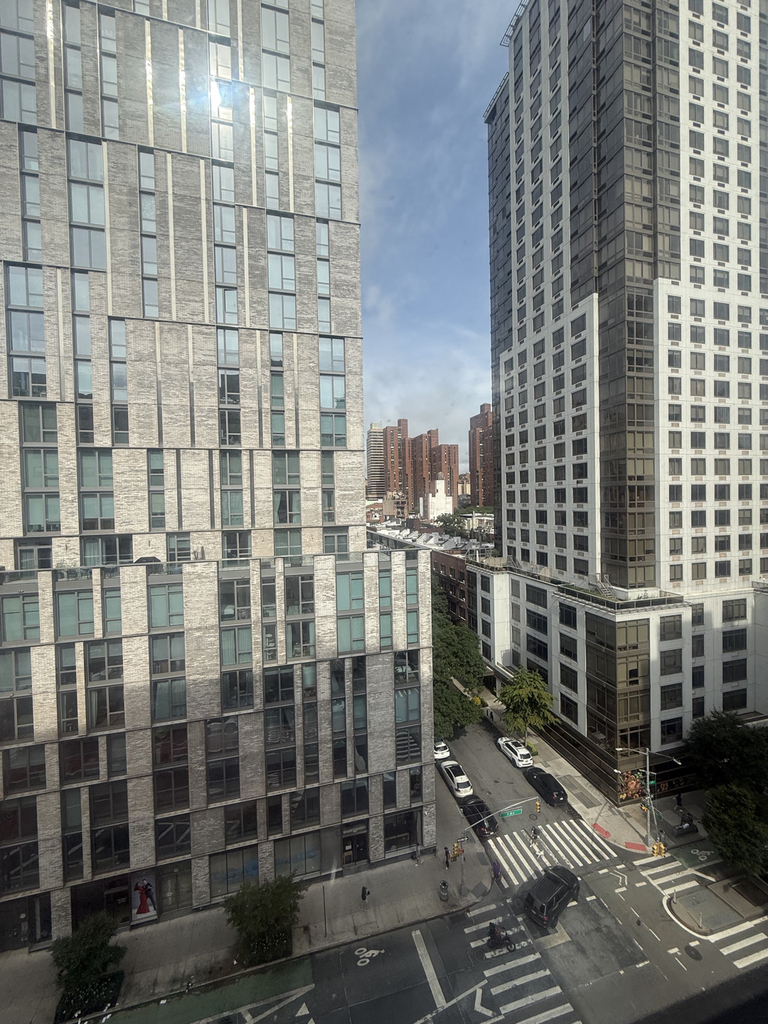 400 East 89th Street - Photo 4