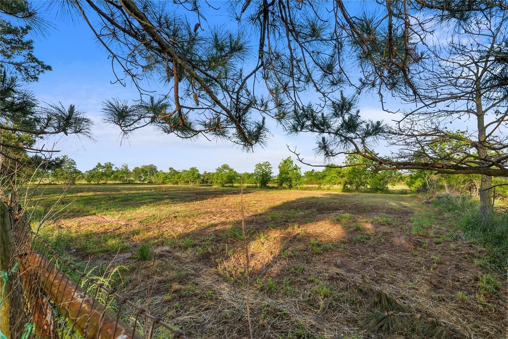 36622 Tompkins Road - Photo 10