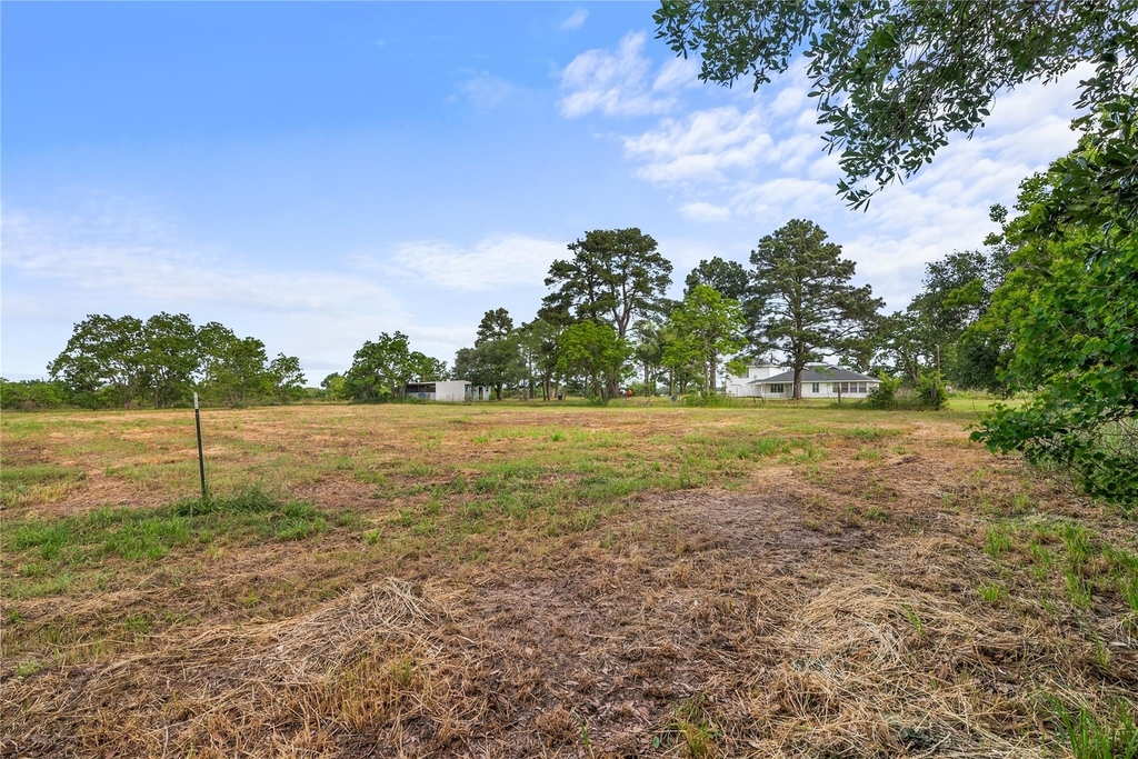 36622 Tompkins Road - Photo 42