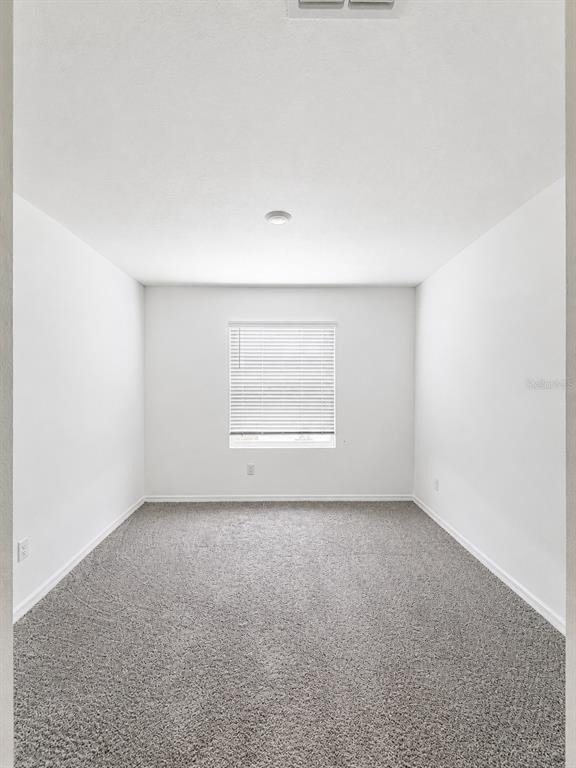 17269 Bigleaf Mahogany Lane - Photo 7