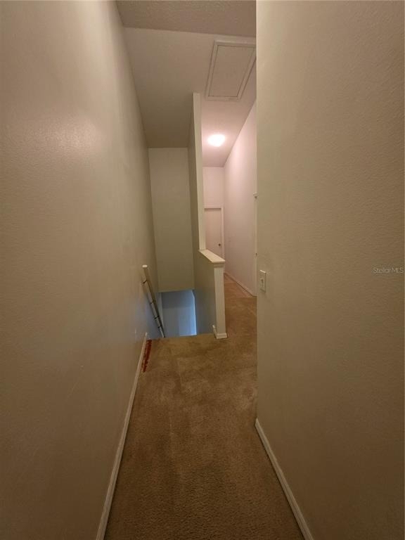 6241 Osprey Lake Circle - Photo 24