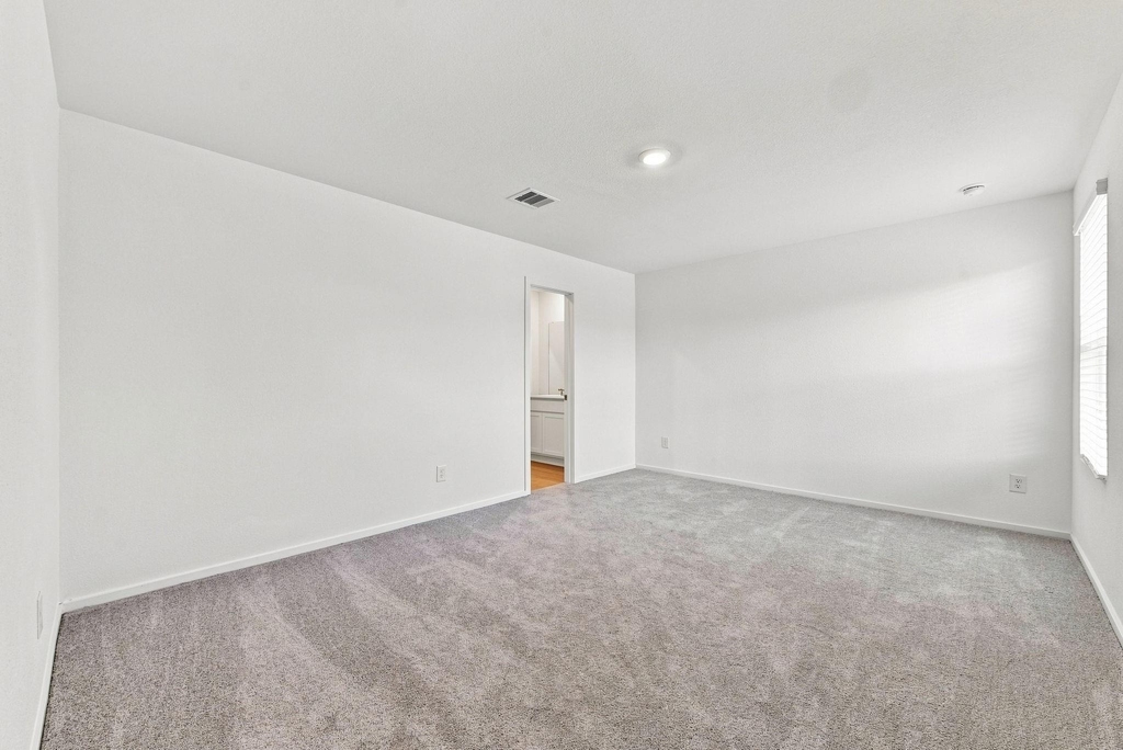 3407 Brushy Marsh Drive - Photo 18