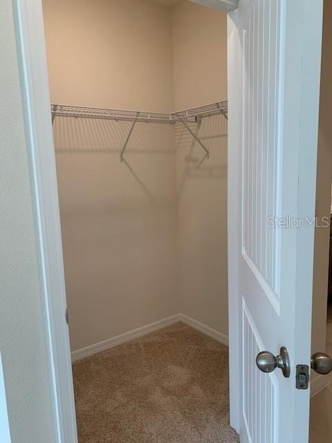20007 Royal Tern Court - Photo 14