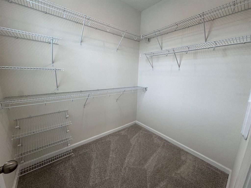 498 Lady Palm Street - Photo 10
