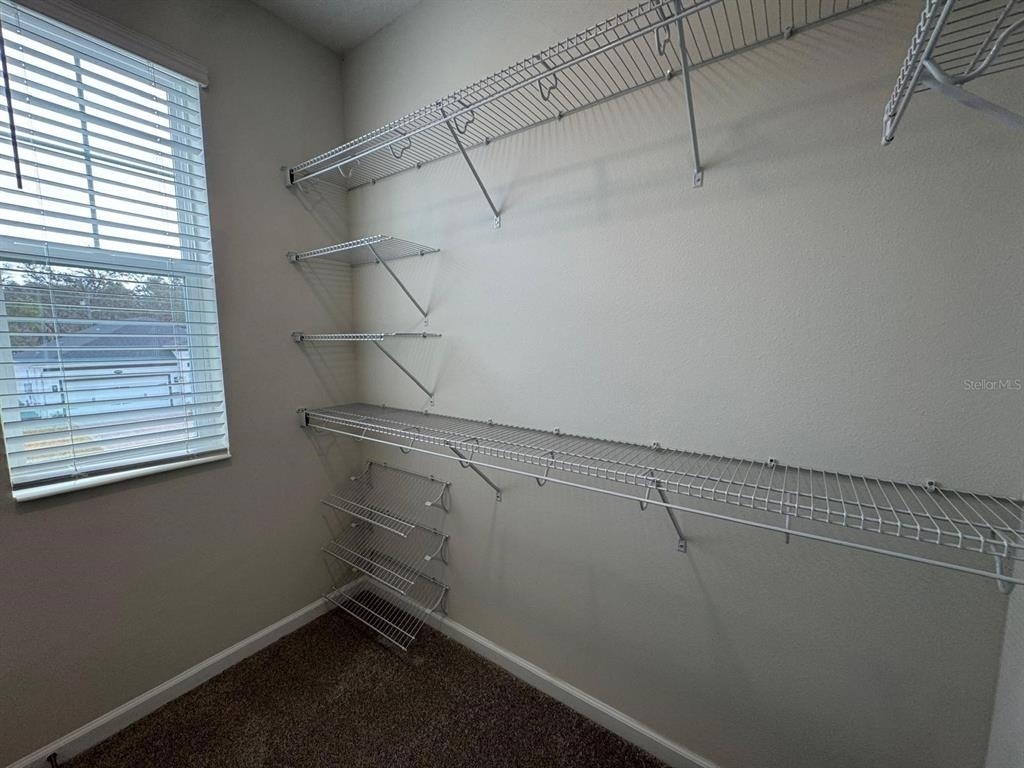 498 Lady Palm Street - Photo 18