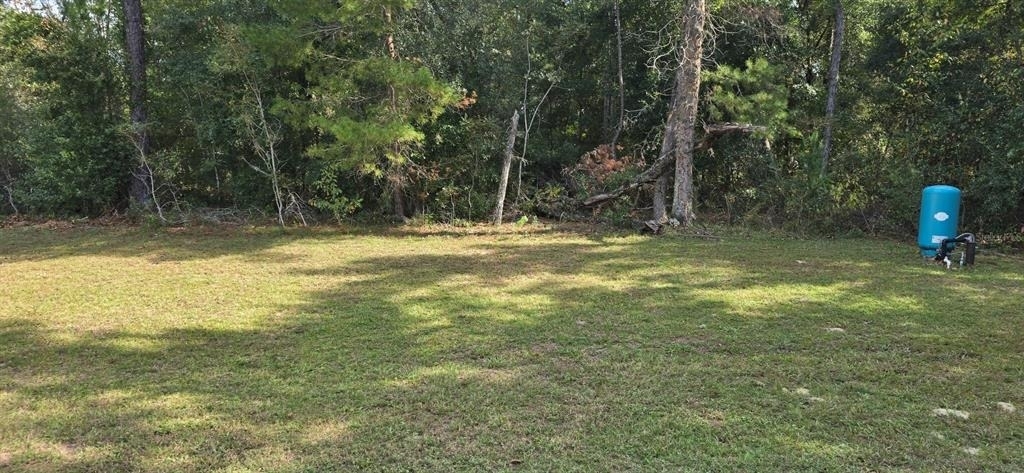 32 Pine Ct Loop - Photo 1