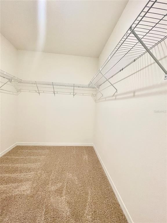 5610 Galloping Drive - Photo 16
