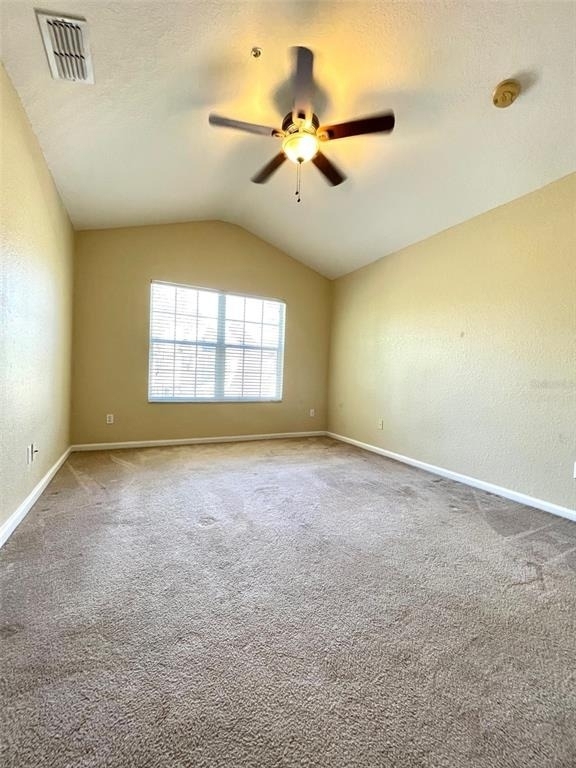3602 Shallot Drive - Photo 19