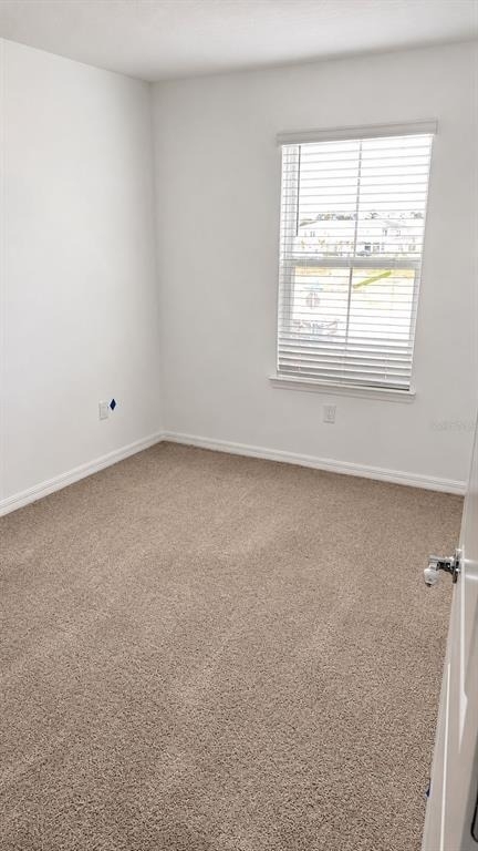 4544 Orchard View Alley - Photo 21