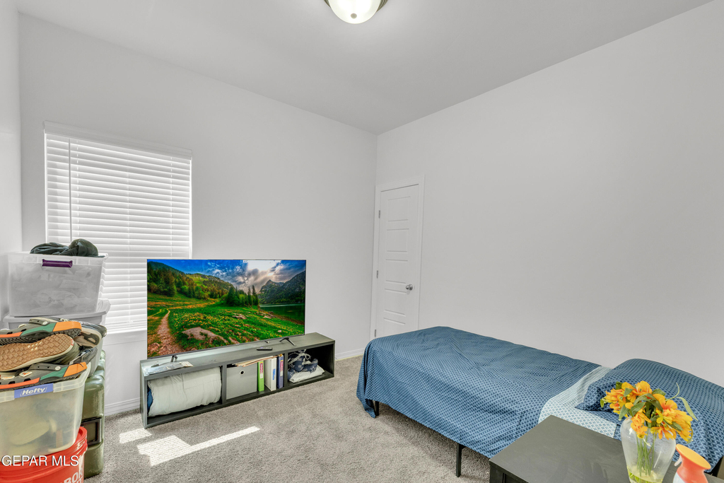 14423 Kayla Mia Drive - Photo 20