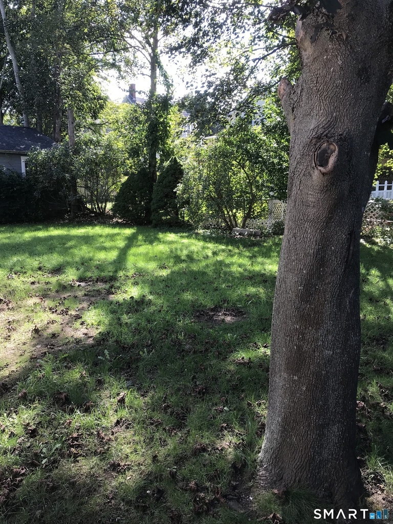 8 Lincoln Avenue - Photo 11