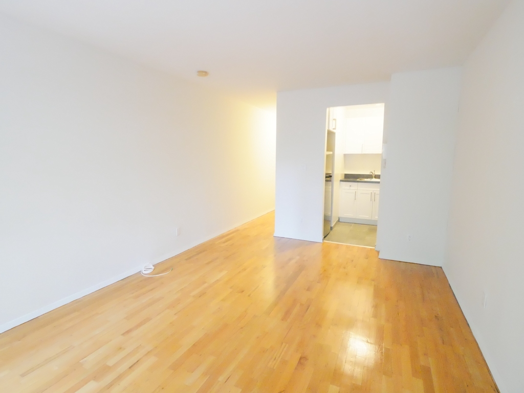 423 East 90th Street - Photo 3