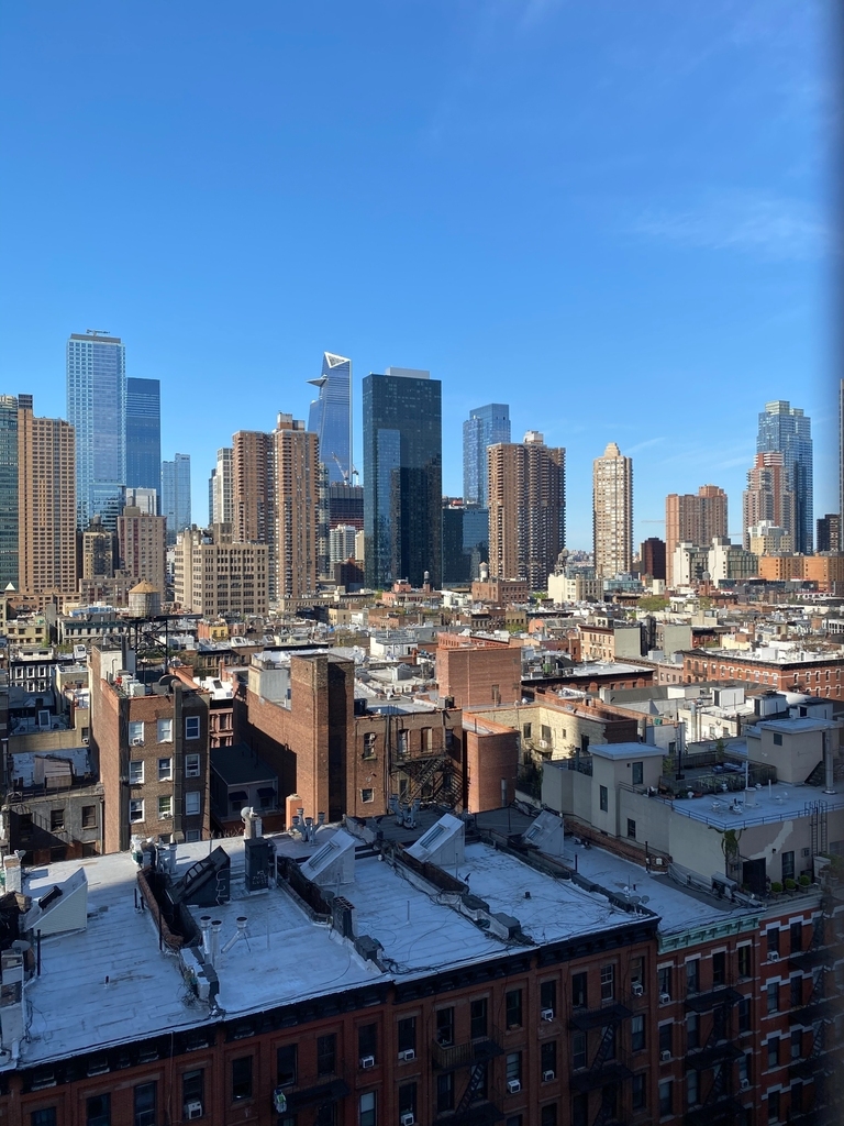 350 West 50th Street - Photo 4
