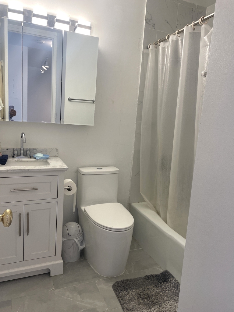 350 West 50th Street - Photo 5