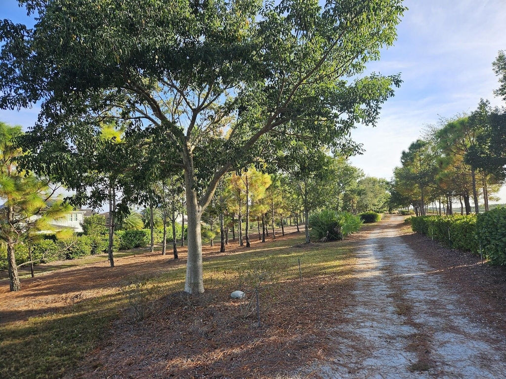 1664 Pelican Post Place - Photo 33