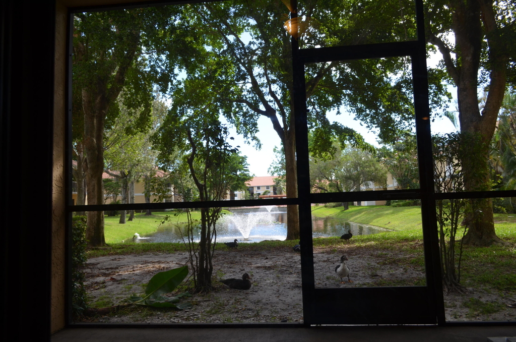5821 Riverside Drive - Photo 10