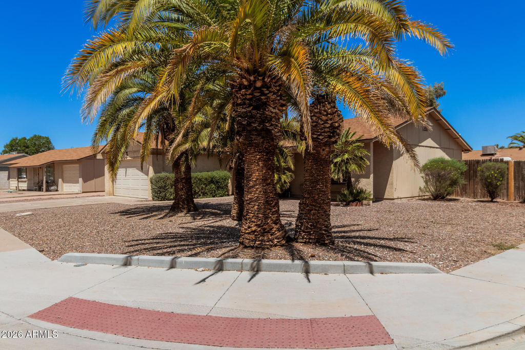 300 W El Alba Way - Photo 19