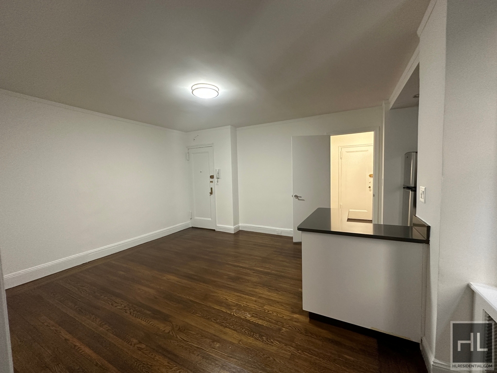 East 46 Street - Photo 2