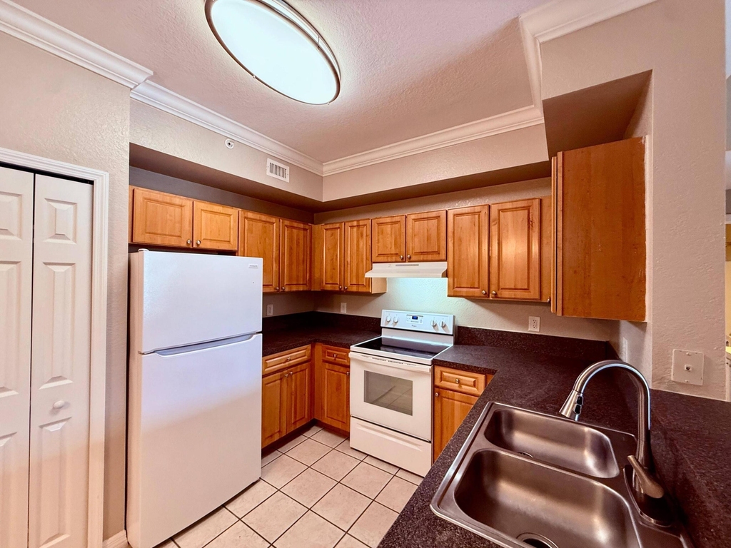 15145 Michelangelo Boulevard - Photo 0